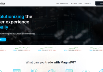 MagnaFG Website